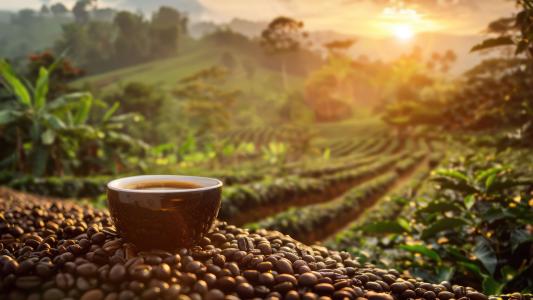 Vale do Café